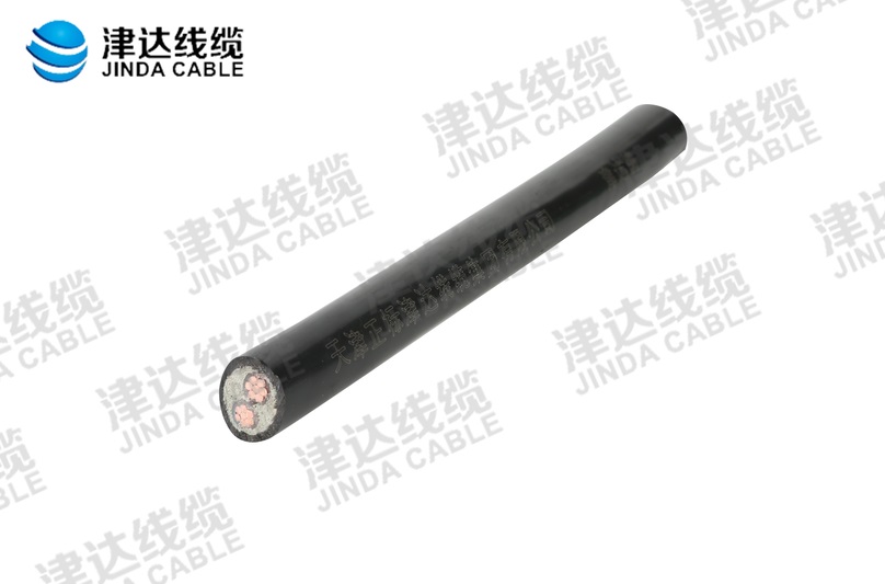 YJV 交聯(lián)聚乙烯絕緣聚氯乙烯護套電力電纜 2*16㎡